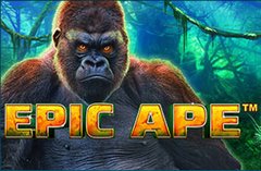 Explorez epic ape slot